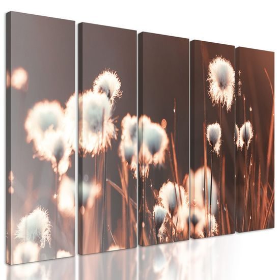 5-dílný obraz rostliny bavlny