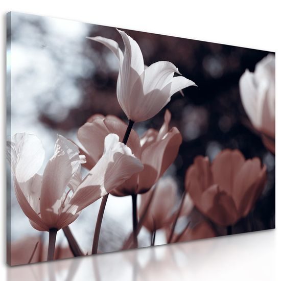 Obraz jemné tulipány u lesa