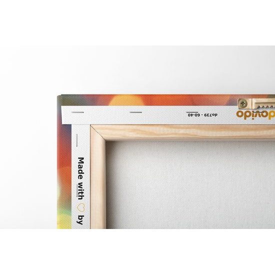 Obraz pampeliška při západu slunce