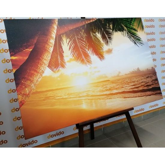 Obraz východ slunce v tropickém ráji