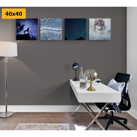 Set obrazů vlk samotář