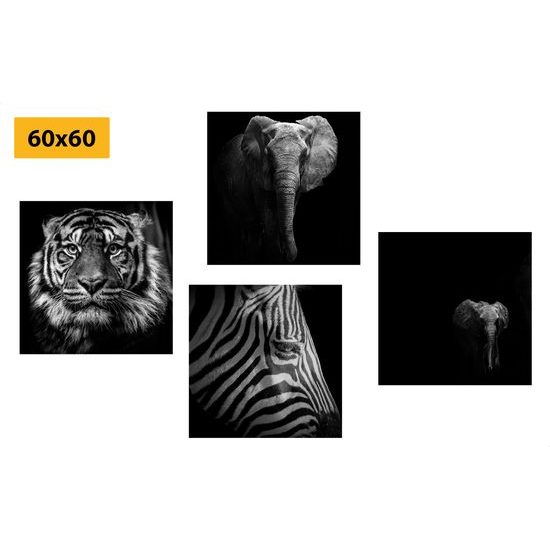 Set obrazů africká zvířata v černobílém provedení