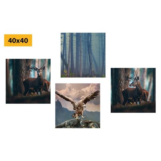 Set obrazů nádherná lesní zvířata