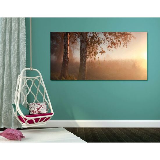 Obraz ranní východ slunce nad lesem