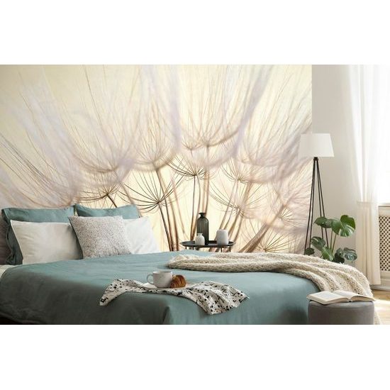 Samolepící fototapeta nádherná semínka pampelišky