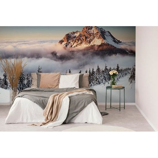 Fototapeta zimní Krkonoše v objetí mlhy