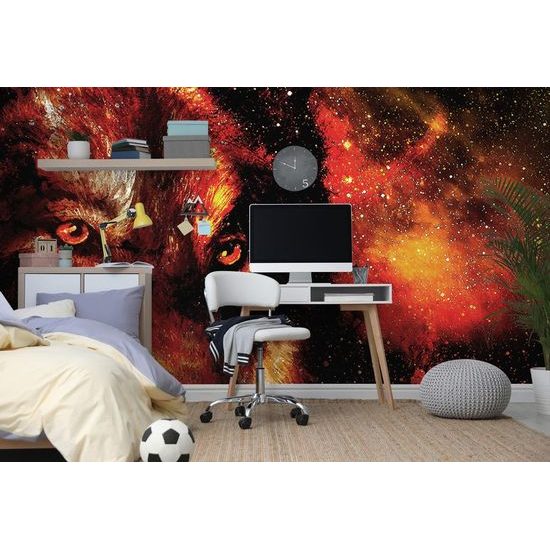 Samolepící tapeta dravý pohled vlka