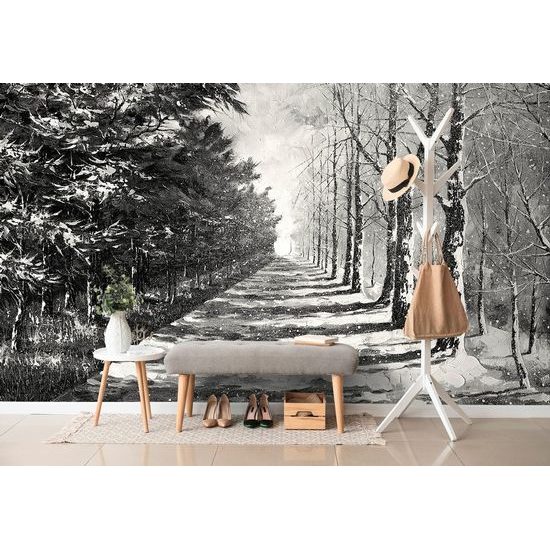 Samolepící tapeta černobílá alej stromů na přelomu ročních období
