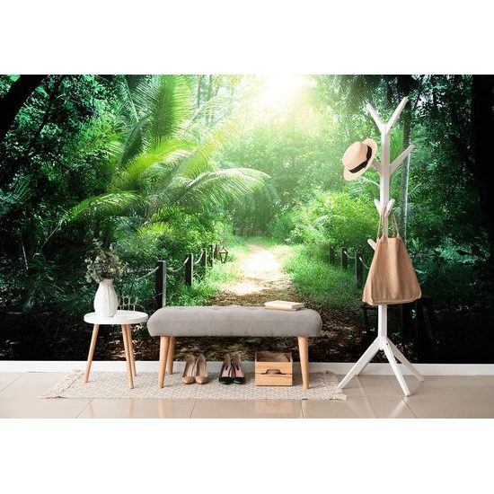 Fototapeta cestička uprostřed exotických Seychel