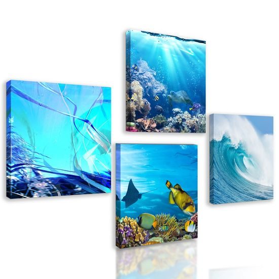 Set obrazů mořský život