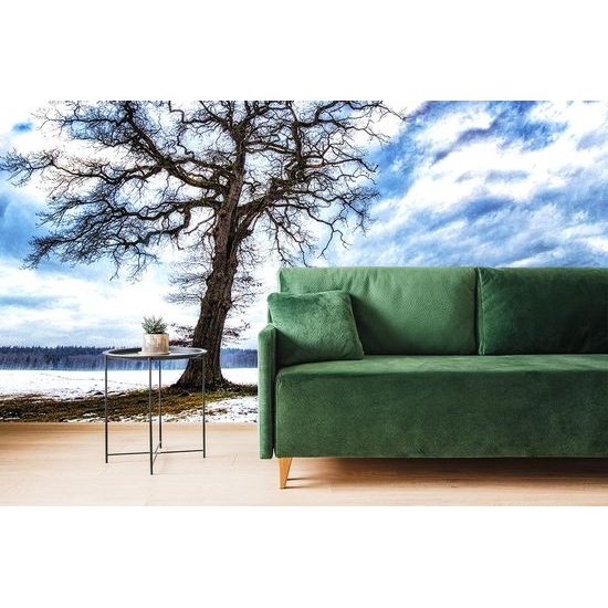 Fototapeta strom se sněhovým popraškem