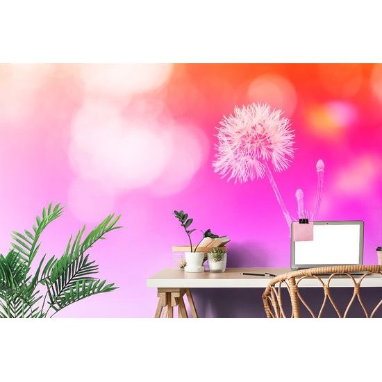Tapeta pampeliška na abstraktním růžovém pozadí