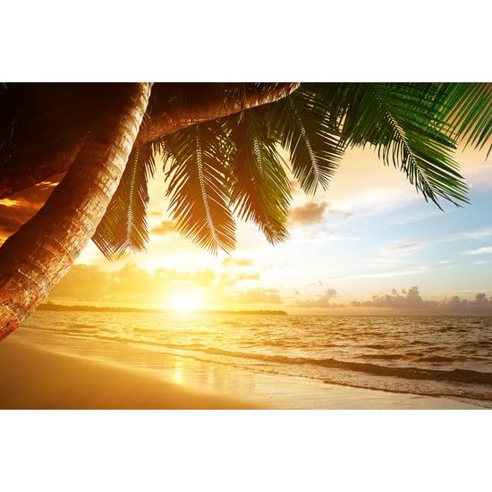 Obraz východ slunce v tropickém ráji