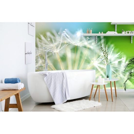 Jedinečná samolepící tapeta makro semínka pampelišky