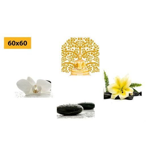 Set obrazů něžné Feng Shui prvky na bílém pozadí