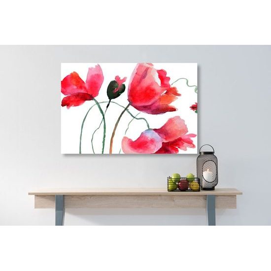 Obraz neviděné květiny máku