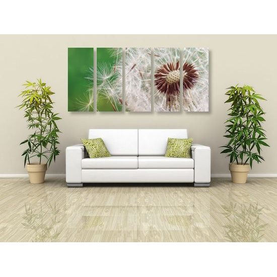 5-dílný obraz pampeliška ve větru