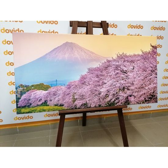 Obraz romantický pohled na Japonsko