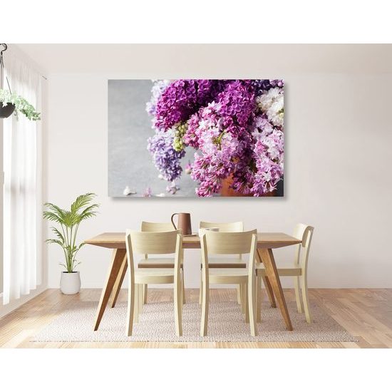 Obraz nádherný šeřík v květináči