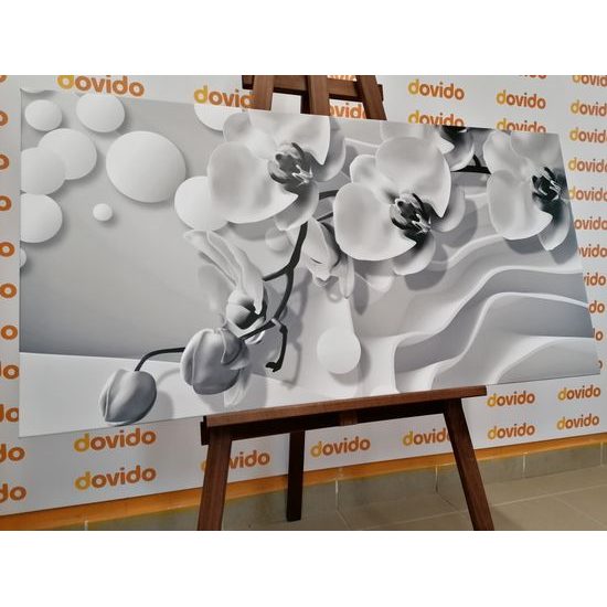 Obraz jemné znázornění orchideje v černobílém provedení