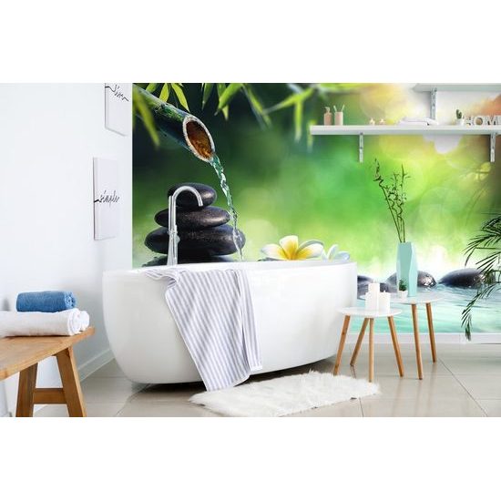 Samolepící fototapeta klid zen zahrady