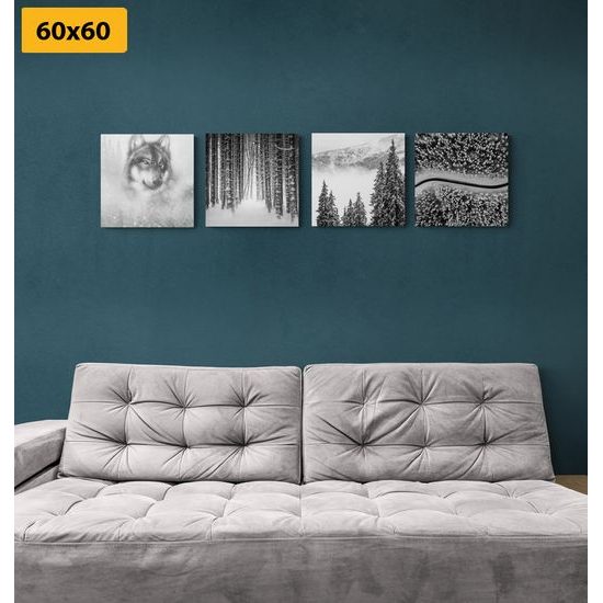 Set obrazů vlk v hlubokém lese v černobílém provedení