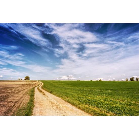 Samolepící fototapeta cesta jarní krajinou