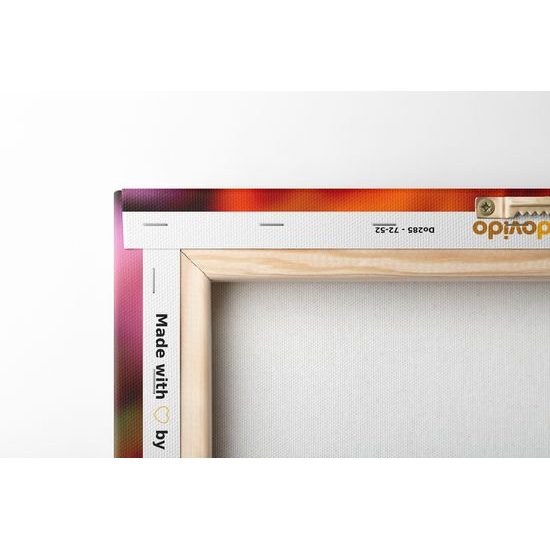 Obraz překrásné oranžové tulipány