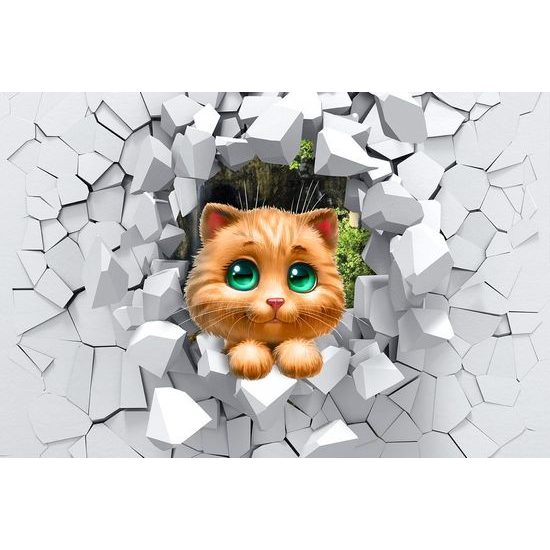 Tapeta zvědavá kočička