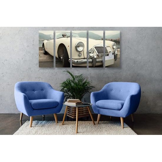 5-dílný obraz klasický bílý veterán