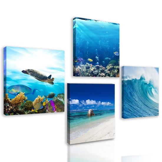 Set obrazů život pod mořskou hladinou