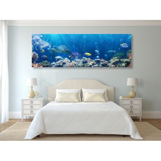 Obraz krásné mořské ryby