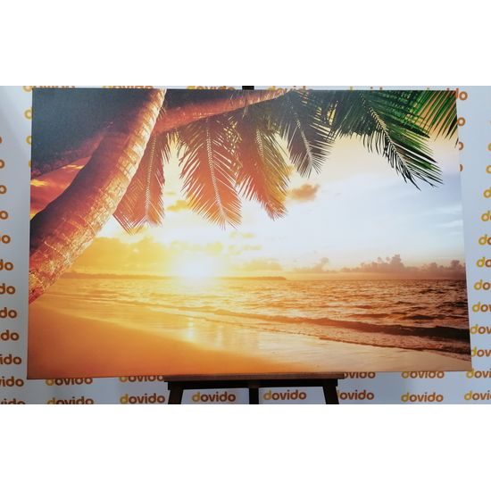 Obraz východ slunce v tropickém ráji