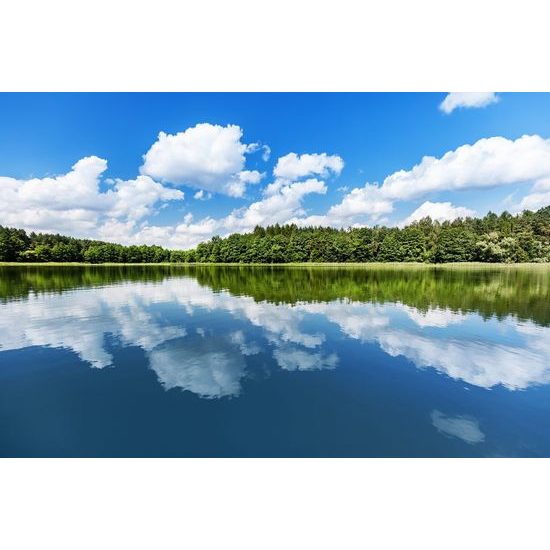 Originální samolepící fototapeta letní příroda