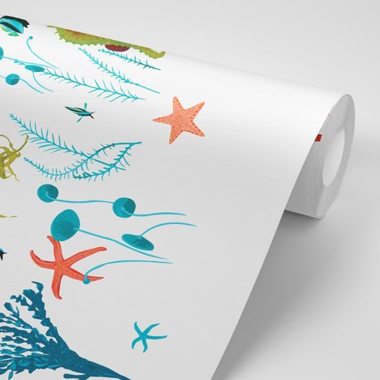 Tapeta živočichové pod hladinou moře