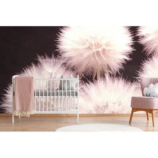 Samolepící fototapeta pampeliška s nádechem fialové