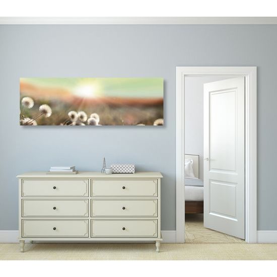 Obraz letní louka v plné kráse