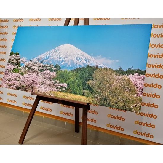 Obraz nádherná Japonská sopka Fuji