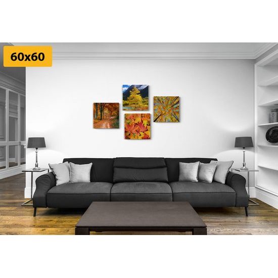 Set obrazů krásná podzimní příroda