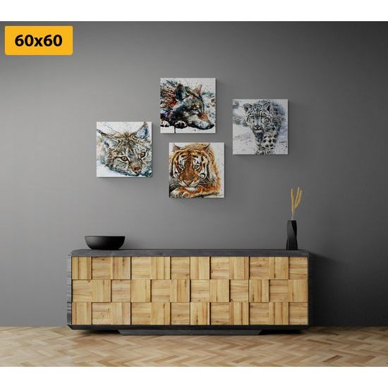 Set obrazů nádherná majestátní zvířata