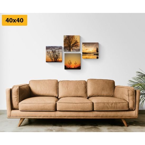 Set obrazů něžná příroda