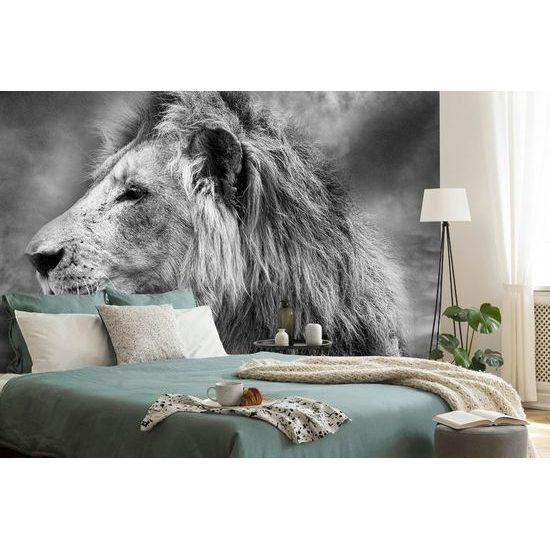 Fototapeta černobílá hlava lva