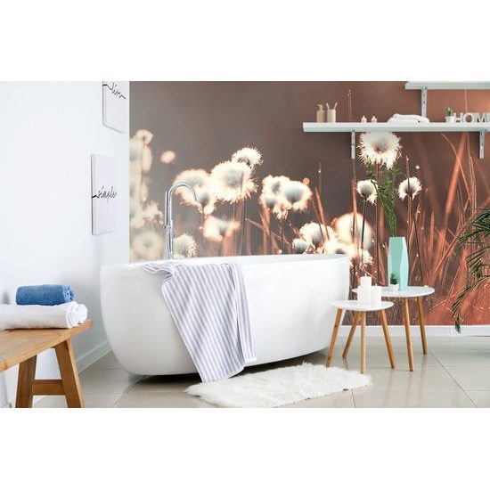 Samolepící fototapeta bavlněná tráva v probouzející se přírodě