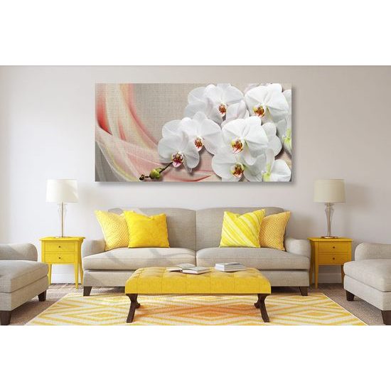 Obraz krása bílé orchideje na plátně