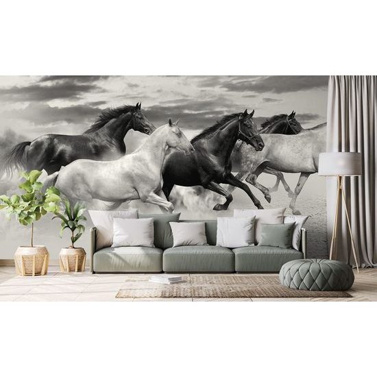 Okouzlující černobílá tapeta stádo cválajících koní