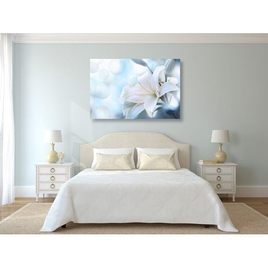 Obraz sněhobílá lilie