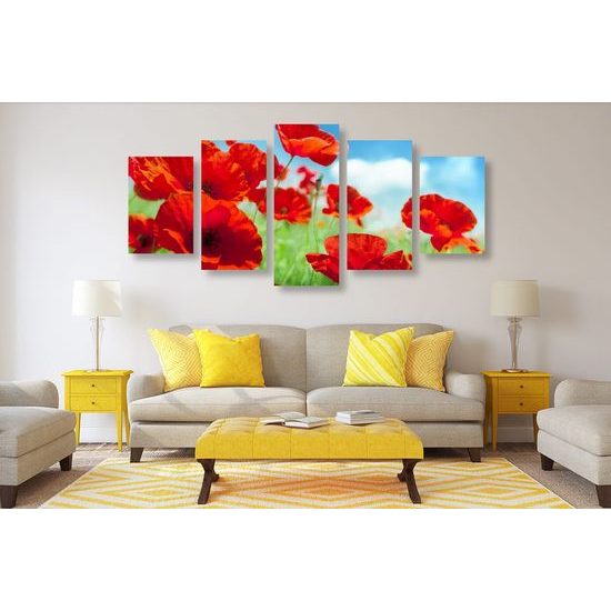 5-dílný obraz luční máky