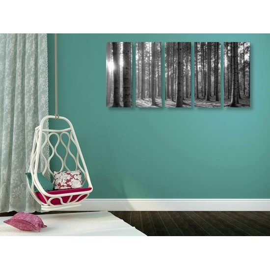 5-dílný obraz paprsky slunce mezi stromy v černobílém provedení