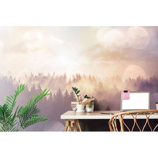 Fototapeta ranní paprsky slunce nad lesem