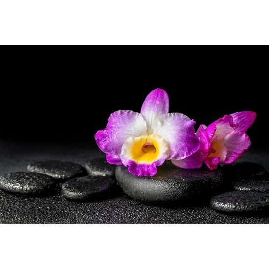 Tapeta relaxační zátiší s orchidejí